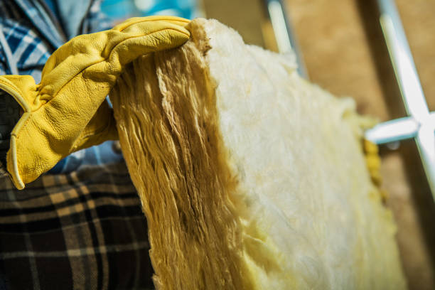 Best Insulation Removal Services  in Deerfield, IL